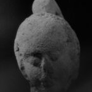 Human head — Calisphere