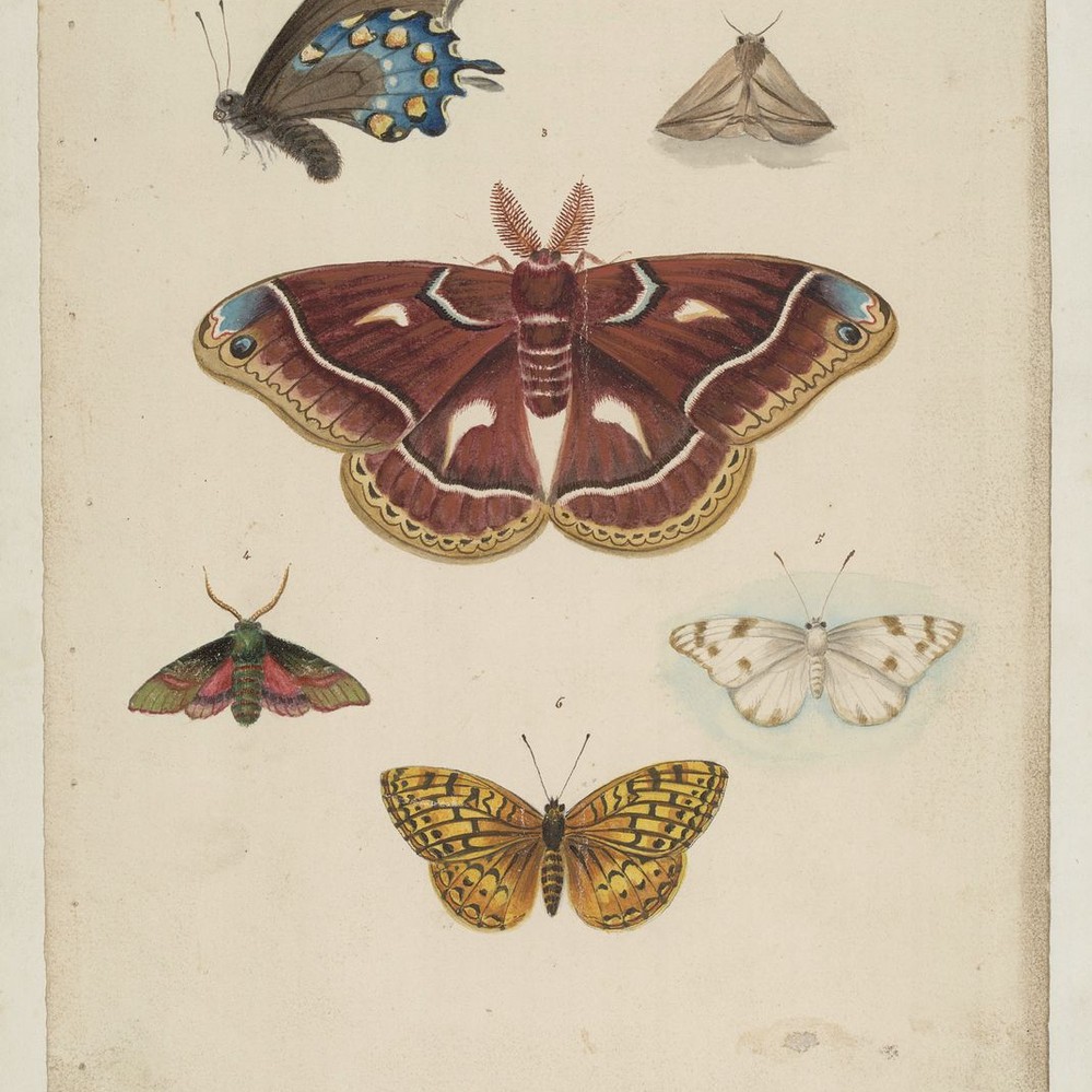 SABBATICAL MARIPOSA L マリポサL Kohler Mariposa 6 Foot Three Wall Alcove Soaking Tub with Right