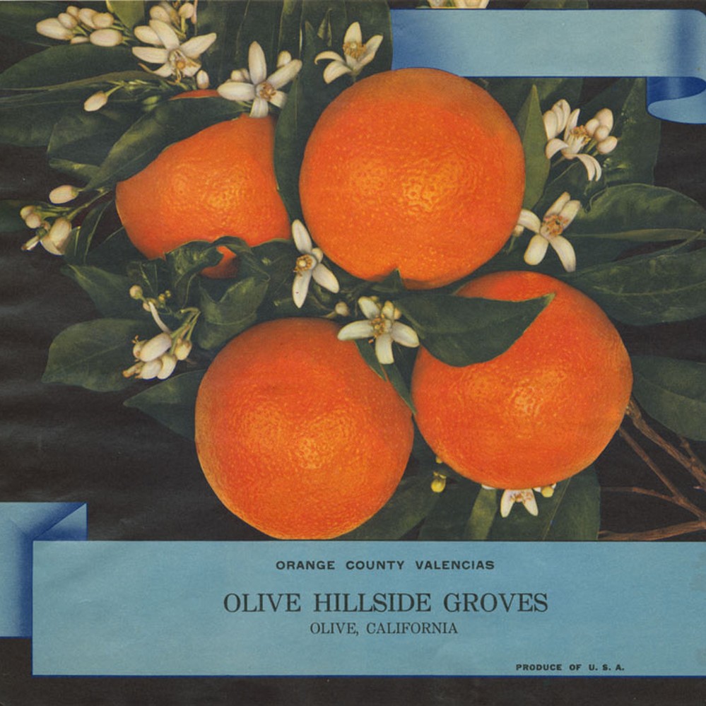 Crate label, Orange County Valencias, Olive Hillside Groves, Olive