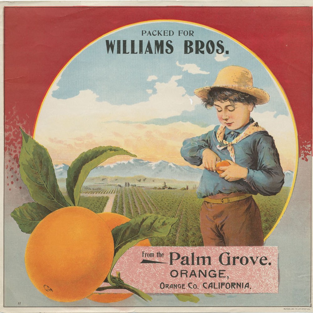 Sweet William ORANGE 未使用　サイン