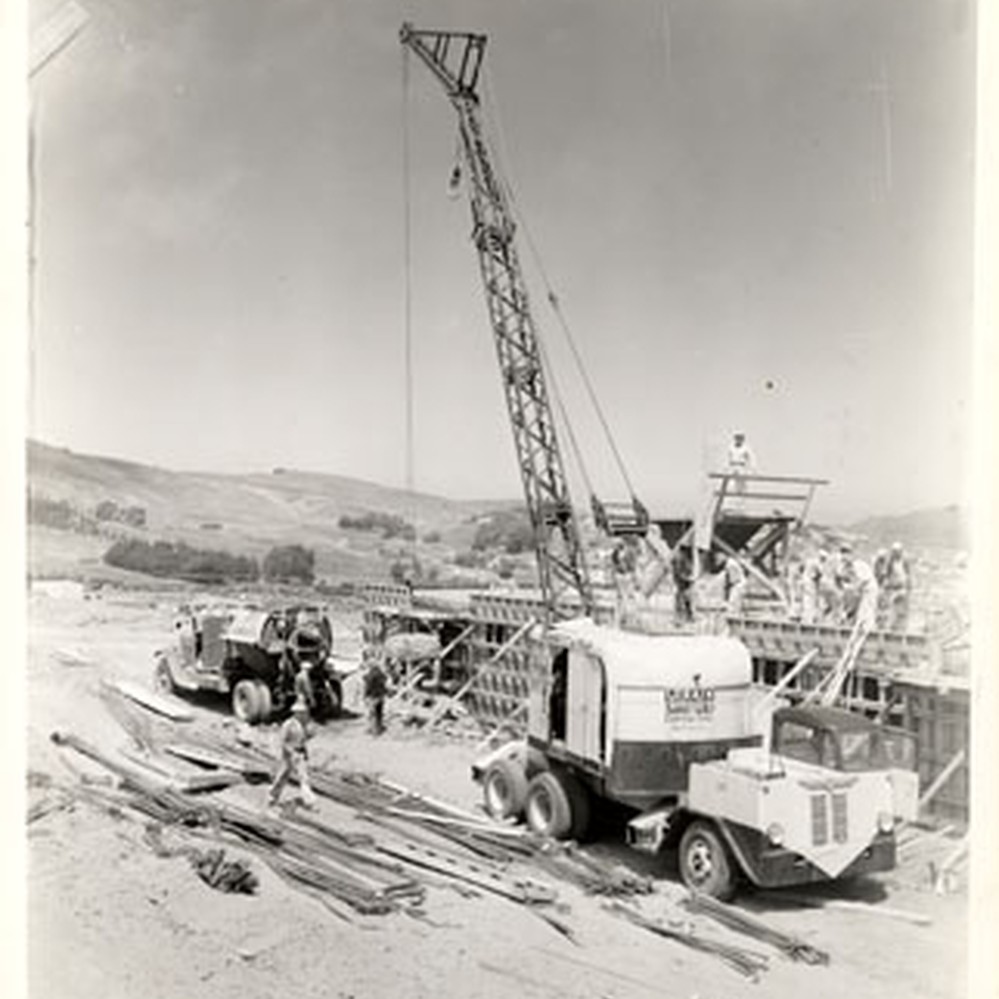 Exploring Changes in Sunnydale Hood, San Francisco | TikTok, image size:999x999