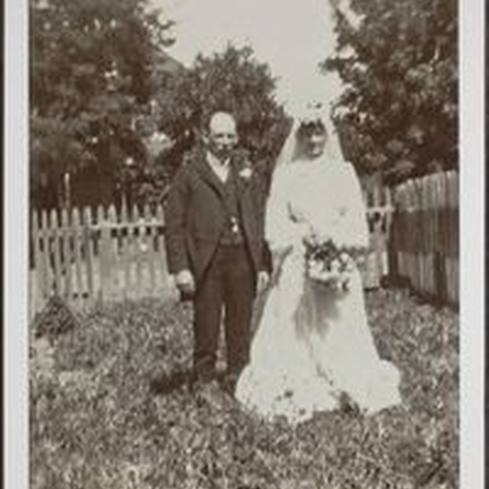 Bridal party at wedding in, Dixon, California, between 1890 and 1900 —  Calisphere