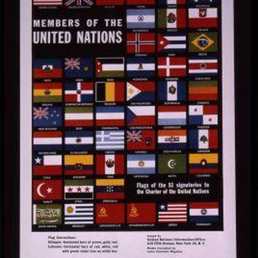 IOM, OIM, Organizzazione Internazionale Per La Bandiera Di Migrazione - Foto 10