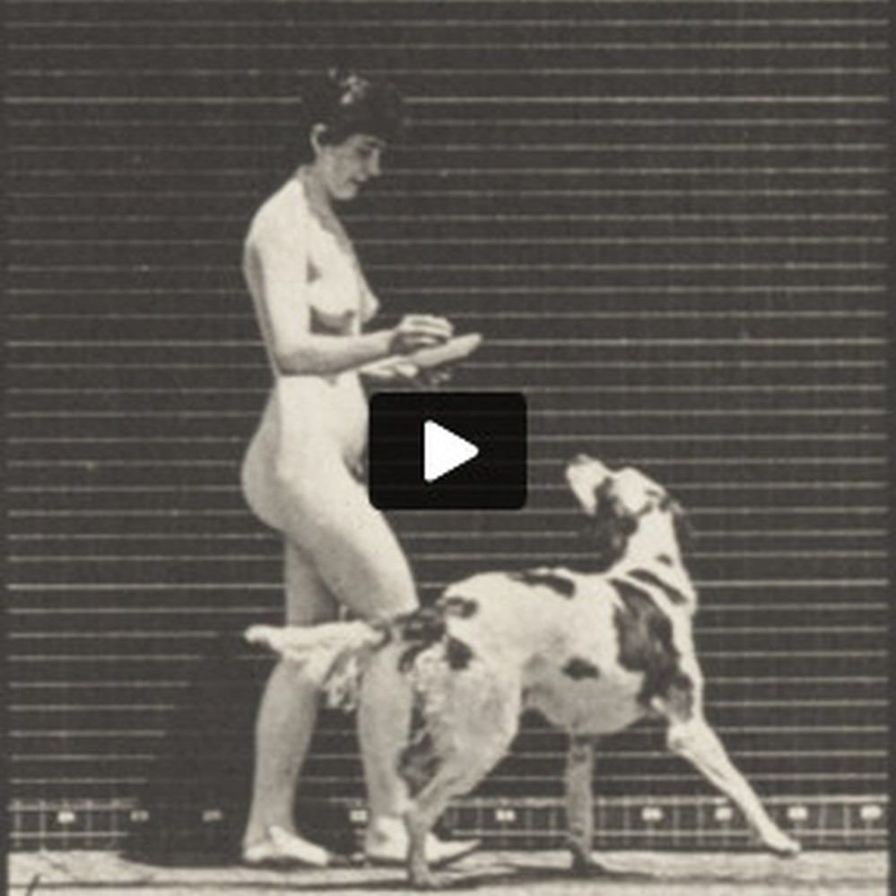 Nude woman feeding a dog — Calisphere