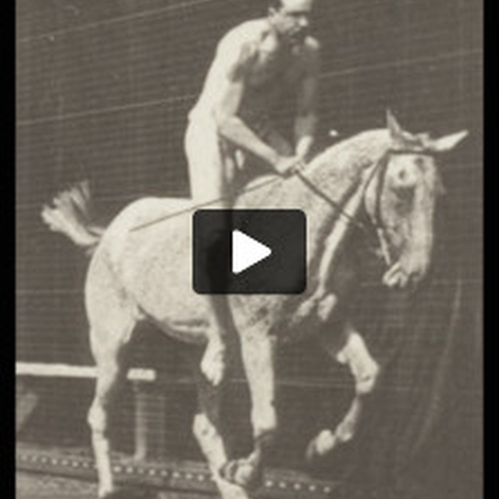 nude on horse bareback Horse Pandora jumping a hurdle, bareback with nude rider — Calisphere