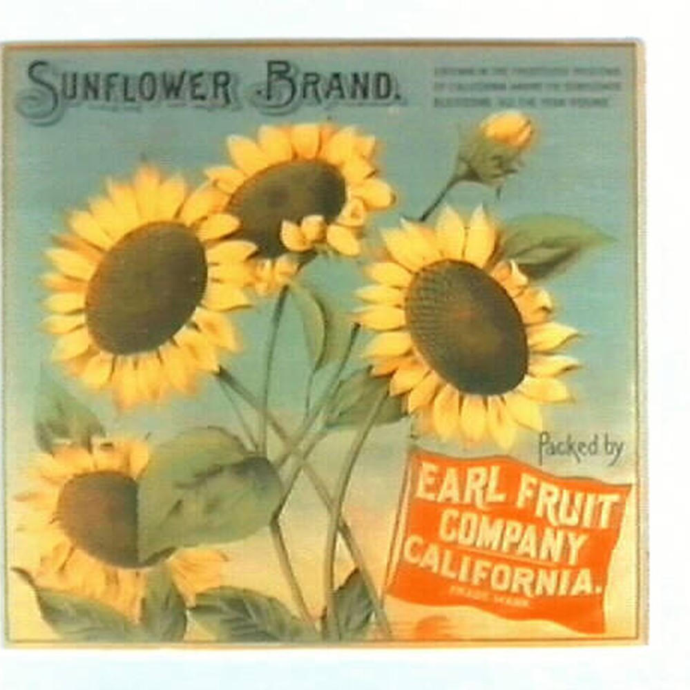 Sunflower Brand — Calisphere
