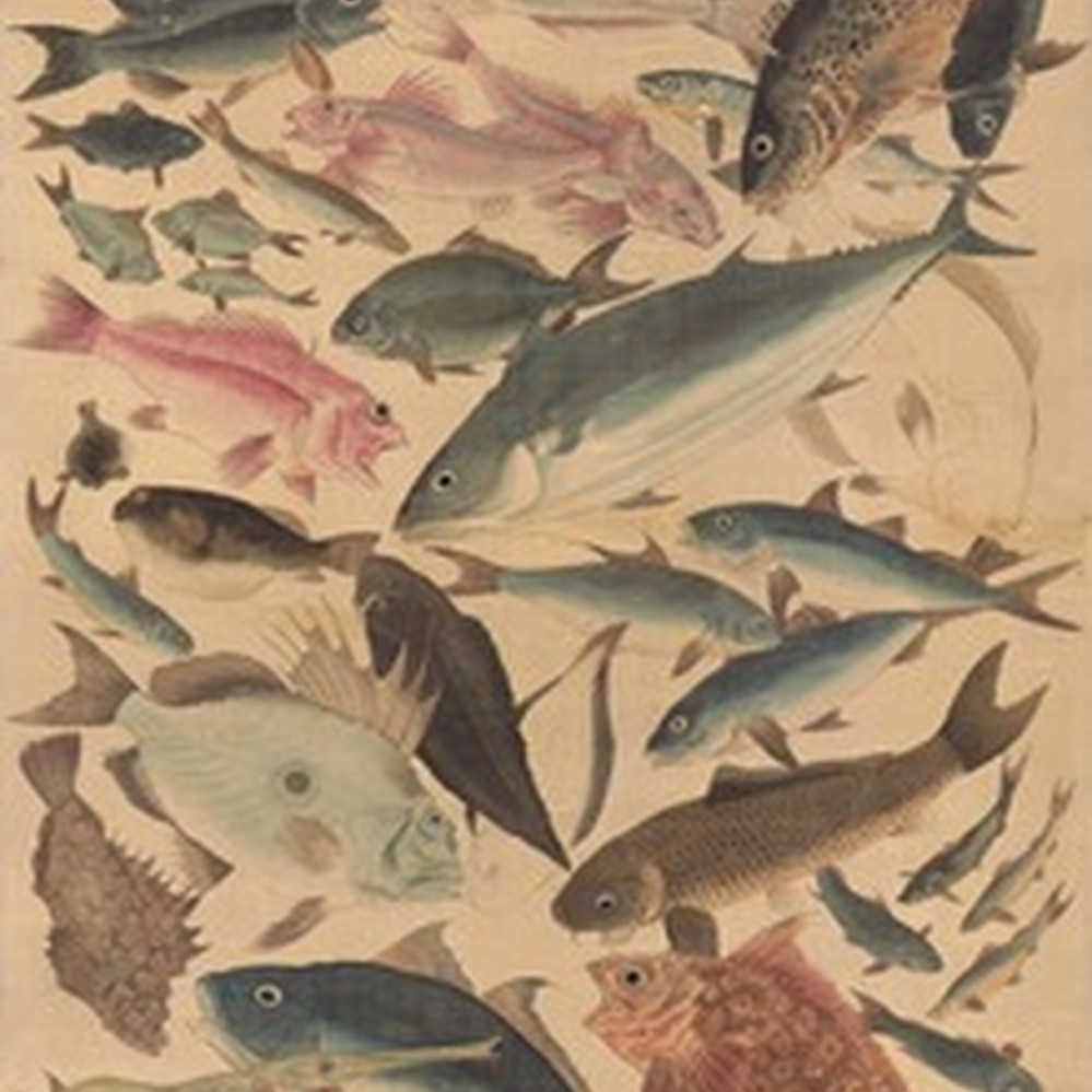 絵画　魚 八鍬四郎「金魚」油絵・F4号 絵画買取・販売の小竹美術