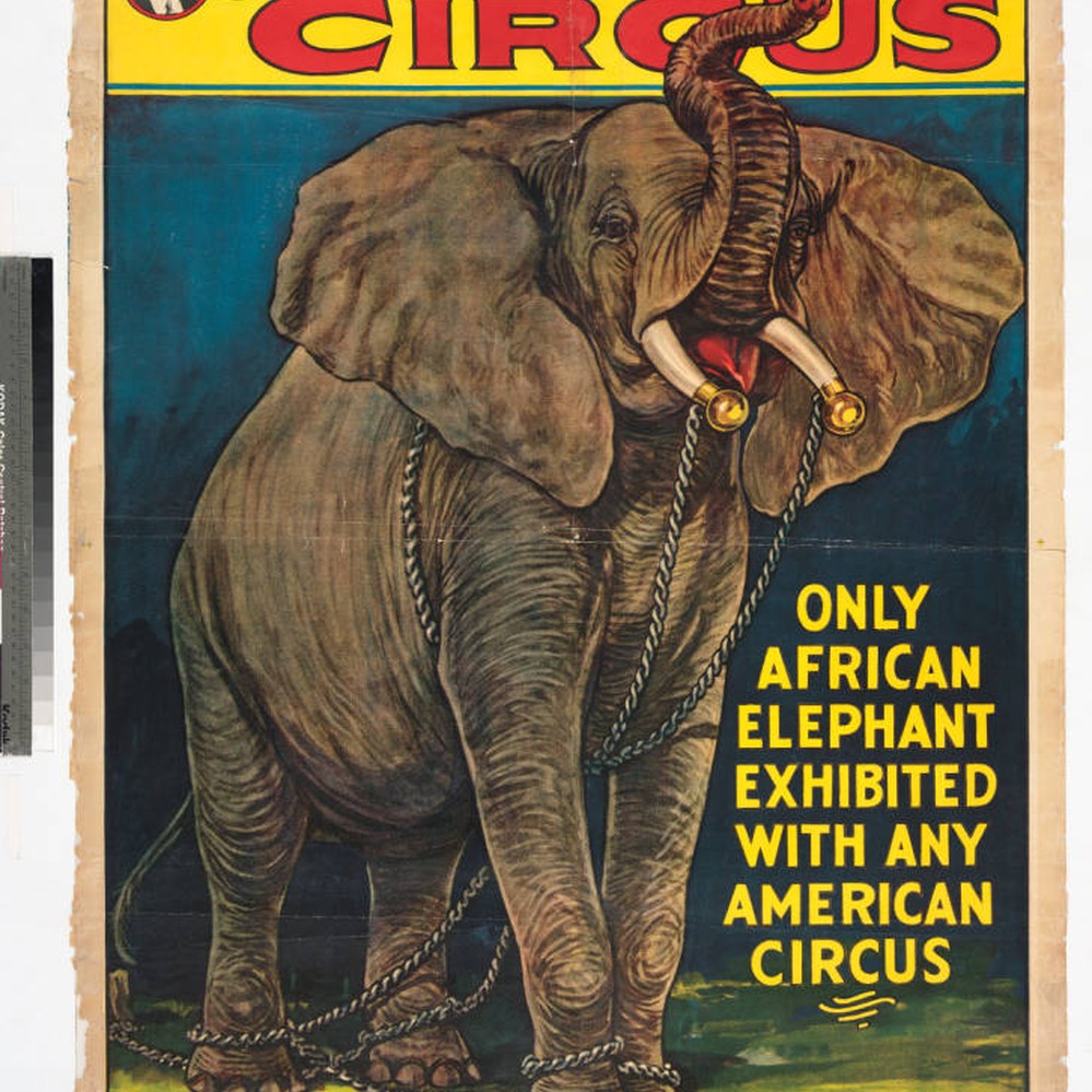 Cole Bros. Circus : Jumbo the 2nd : only African Elephant exhibited with  any American circus — Calisphere