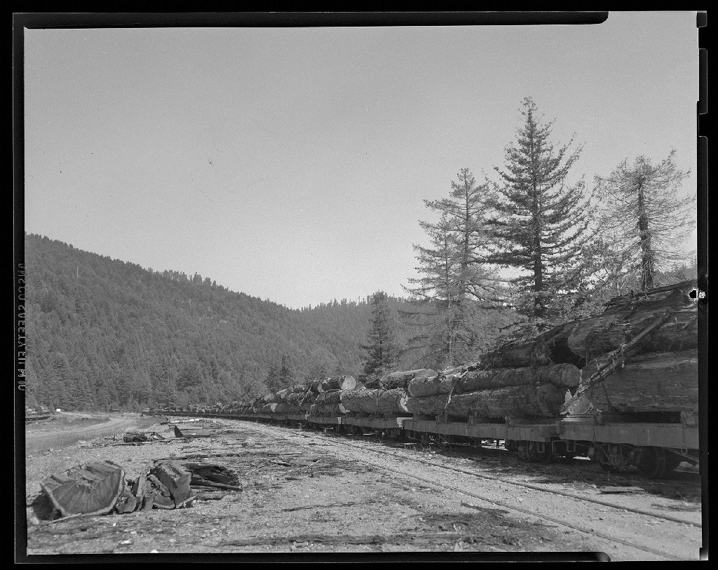 [Tree trunks on top of cargo train] — Calisphere