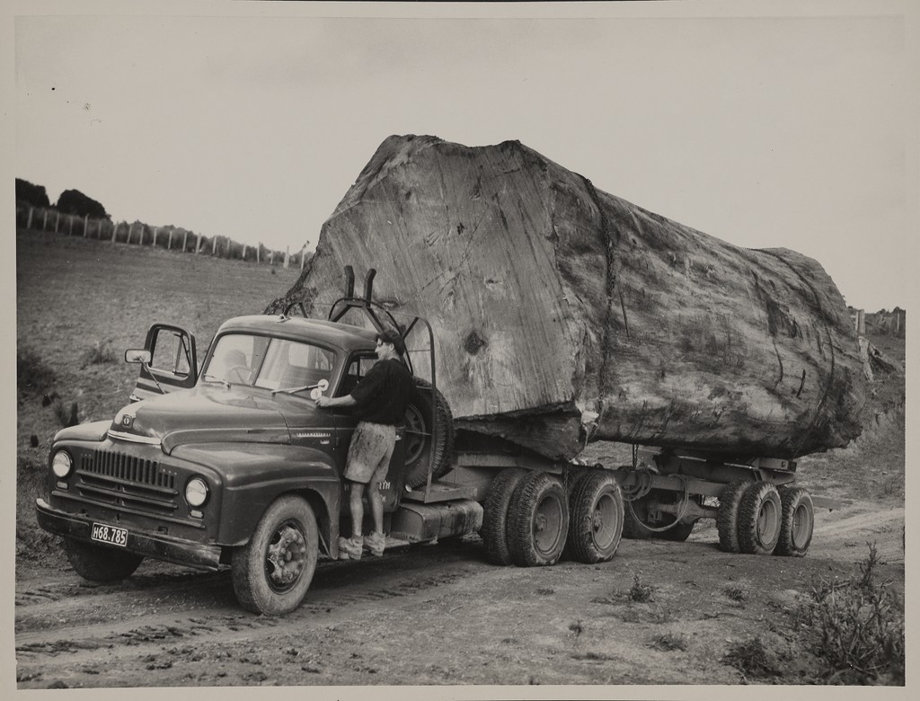 [Large tree trunk on vehicle for transportation] — Calisphere