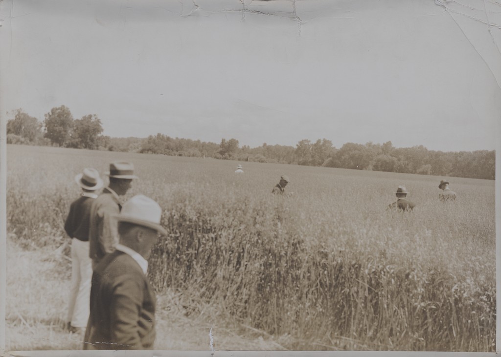 [Men inspecting a wheat field] — Calisphere
