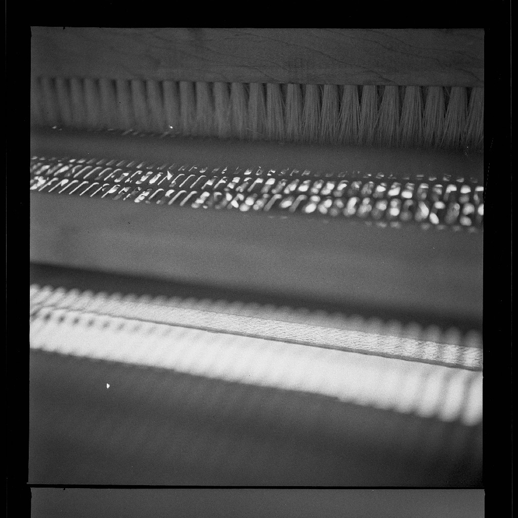 [Close-up of bristles] — Calisphere