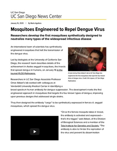 Mosquitoes Engineered to Repel Dengue Virus